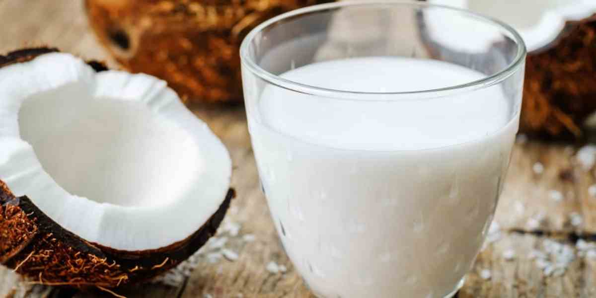 Cách chế biến nước cốt dừa