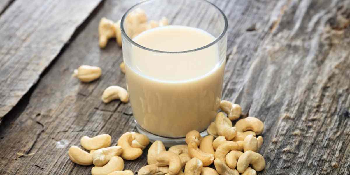 Làm sữa chua hạt bằng máy