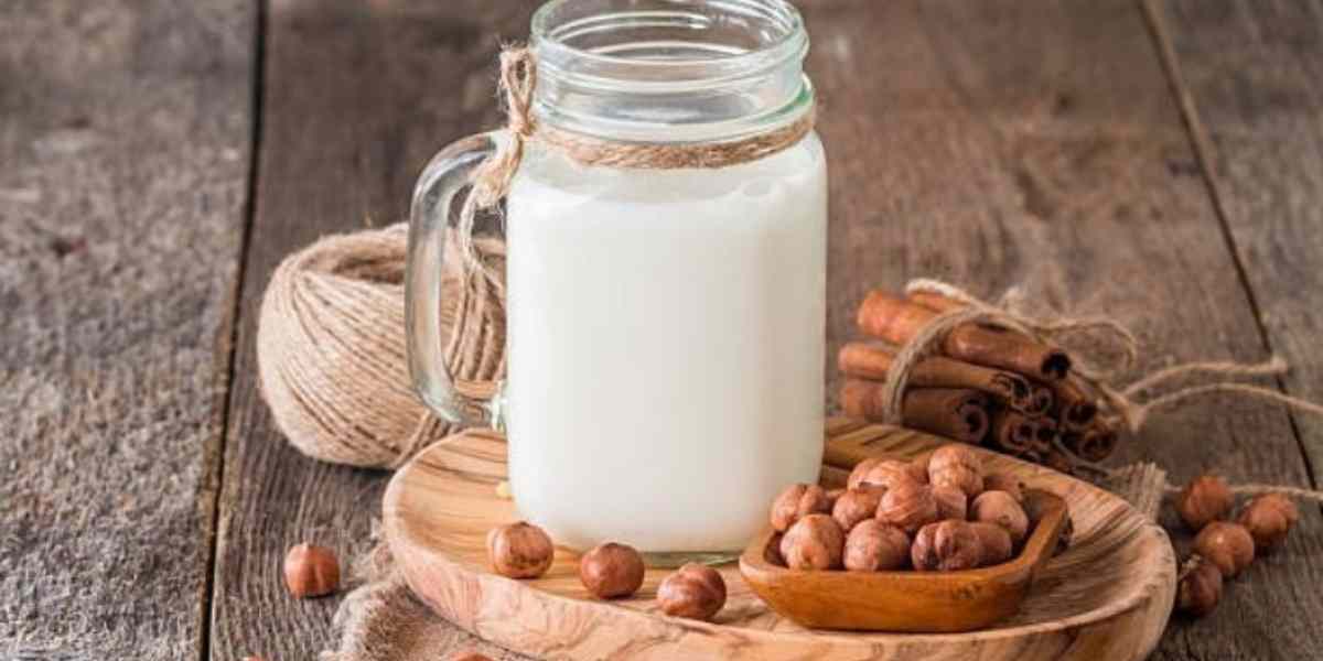 Làm sữa chua hạt bằng máy
