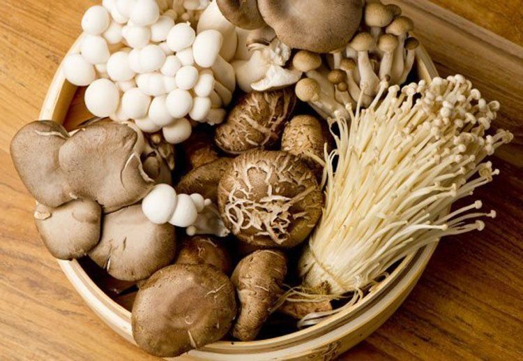bảo quản nấm