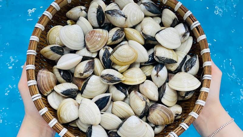Cách bảo quản nghêu